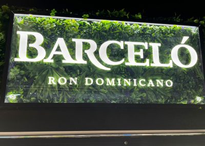 23-293 VARMA - RON BARCELÓ